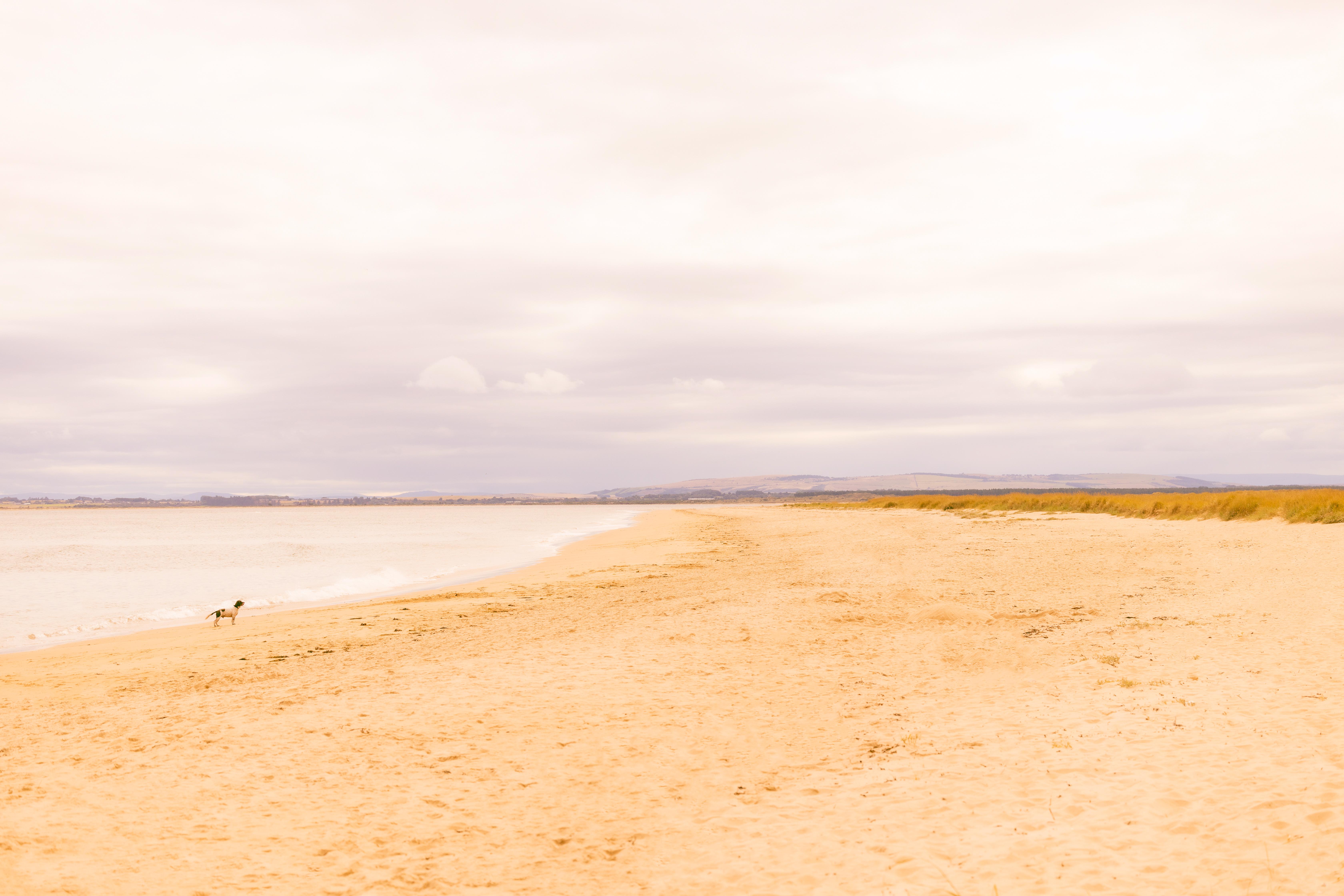 Dornoch Station Hotel Exterior foto The beach at West Bay